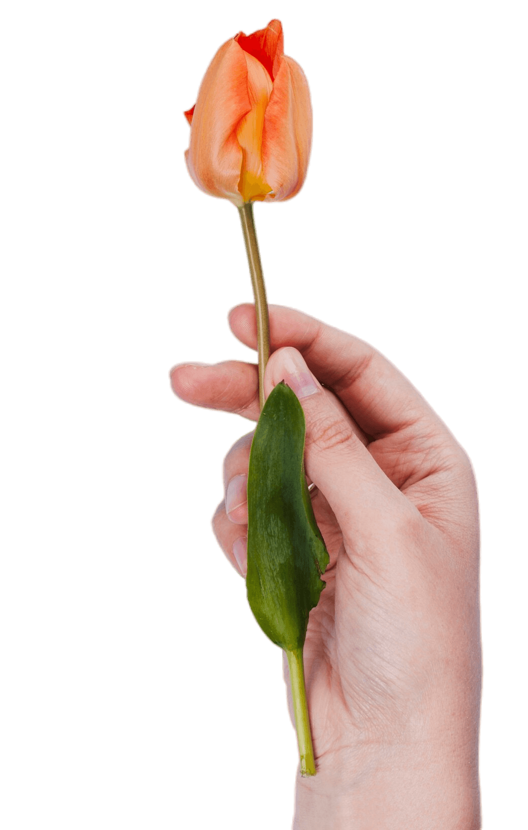 Salud reproductiva y hormonal